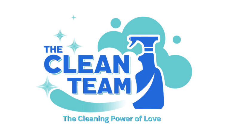 Home [the-clean-team.com]